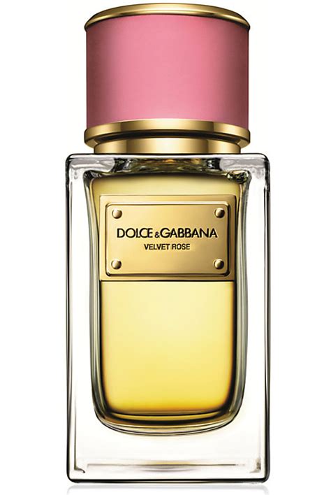 buy dolce and gabbana perfume online|dolce and gabbana perfumes list.